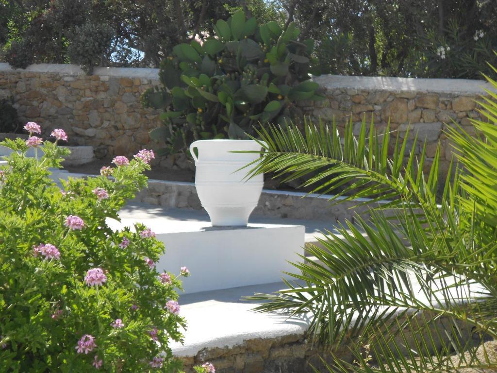 Casa Bianca Hotel Ornos  Bagian luar foto